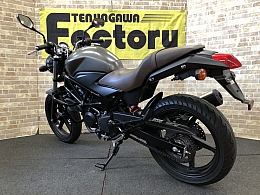 VTR250 FI Special Edition-5