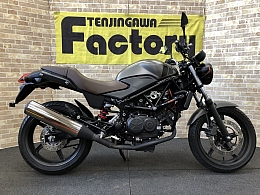 VTR250 FI Special Edition-1