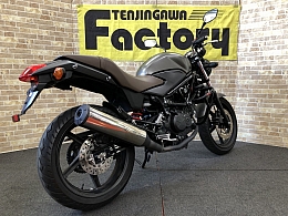 VTR250 FI Special Edition-2
